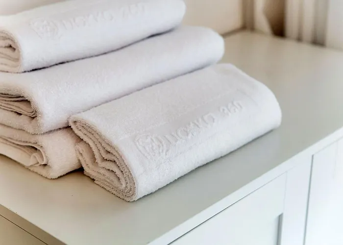 Florida By Quokka 360 - Between The And The