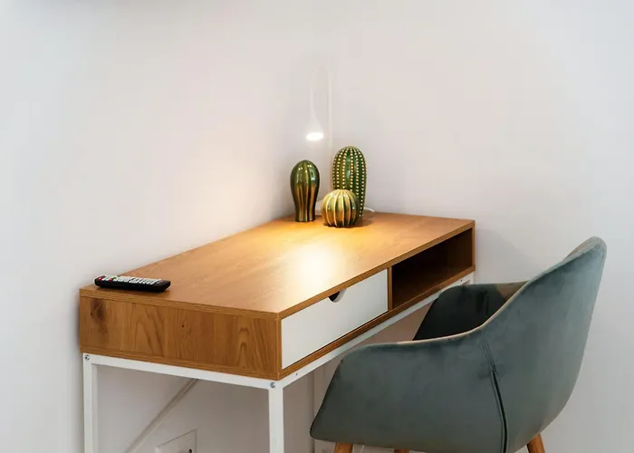 Florida By Quokka 360 - Between The And The * Ascona