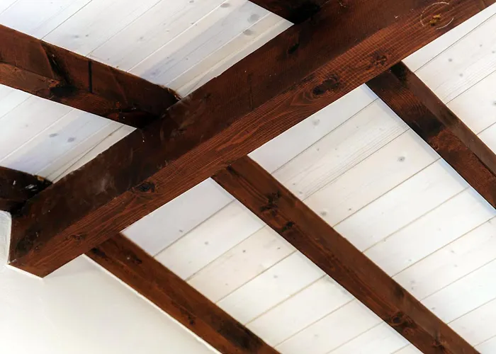 Florida By Quokka 360 - Between The And The Ascona