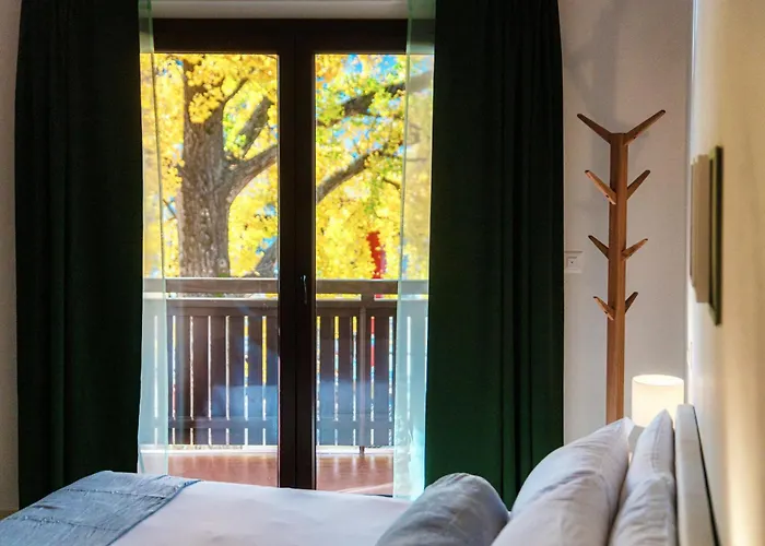 Florida By Quokka 360 - Close To And